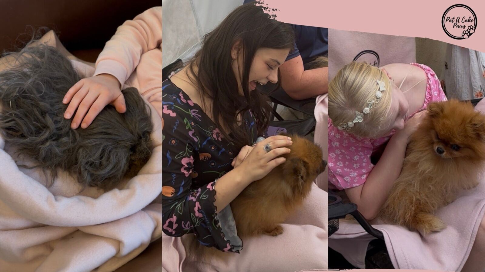 631155925 780049211803605 3252285439112885094 N