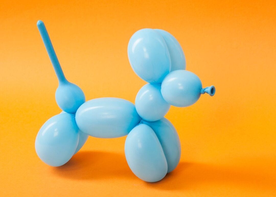 Balloons Every Child Childrens Party Bristol